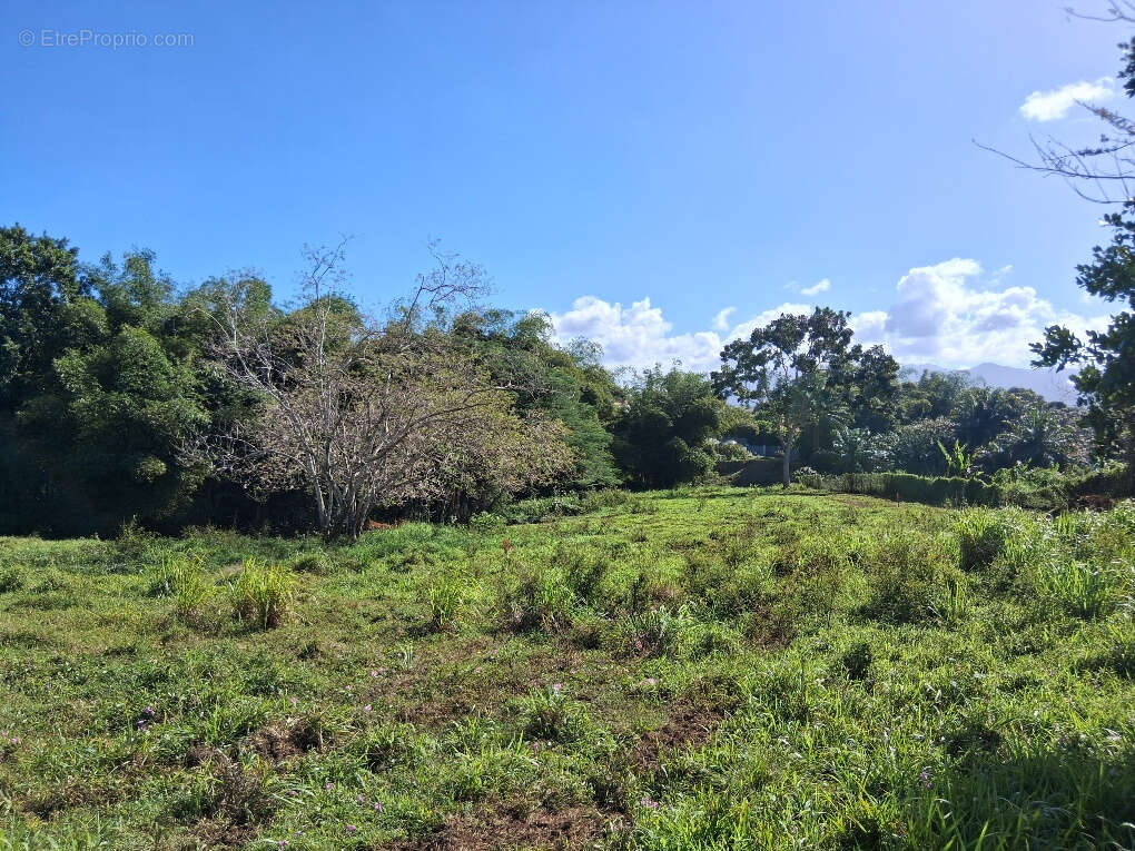 Terrain à BAIE-MAHAULT