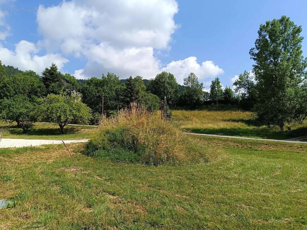 Terrain à VILLARD-DE-LANS