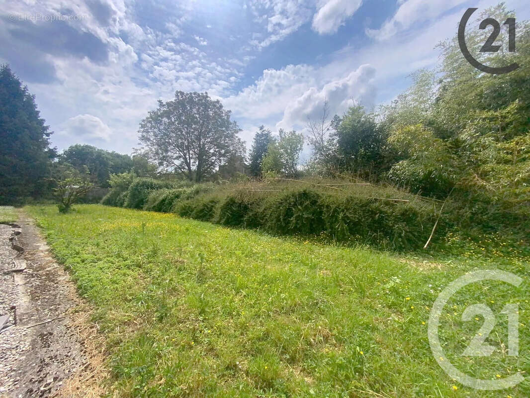 Terrain 2150 m² à Voulton  - photo 2