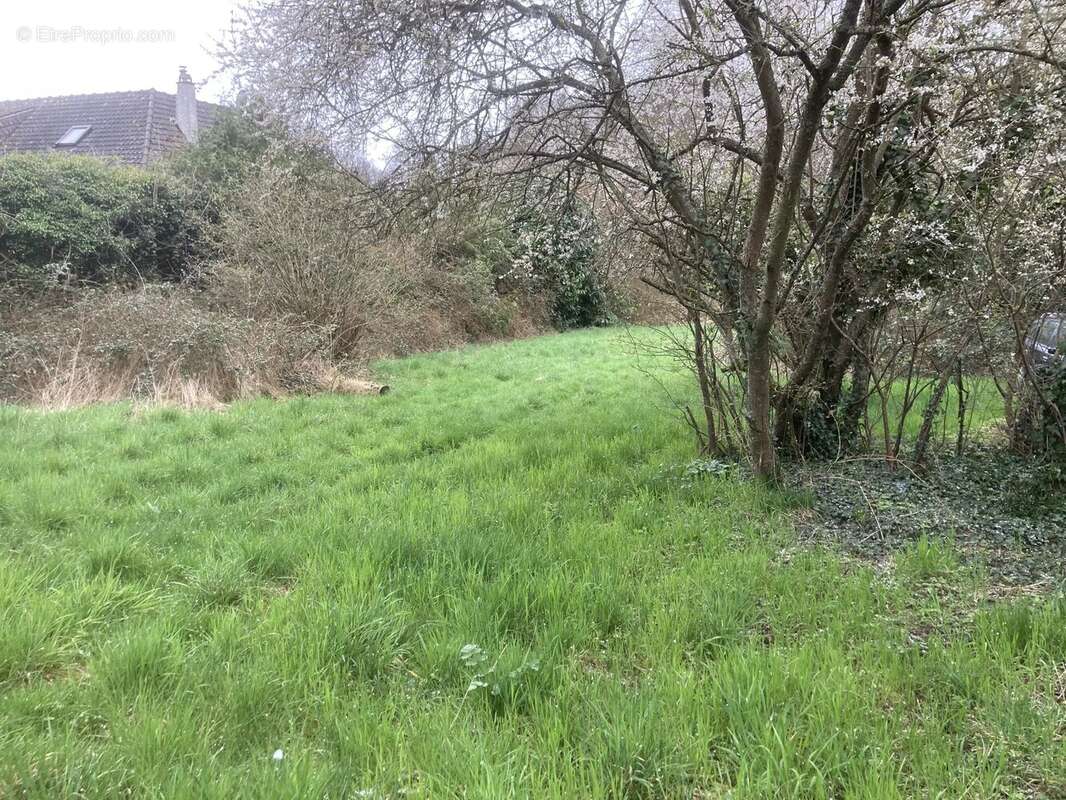 Terrain à RAIZEUX