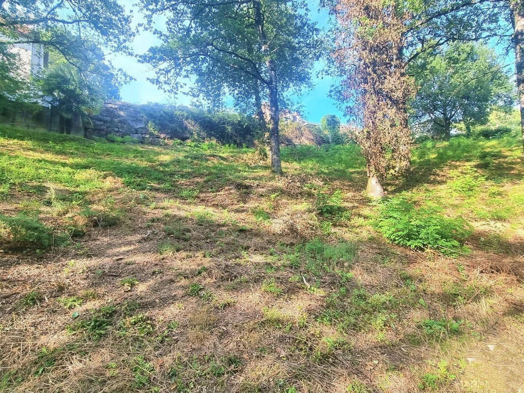 Terrain à MALEMORT-SUR-CORREZE