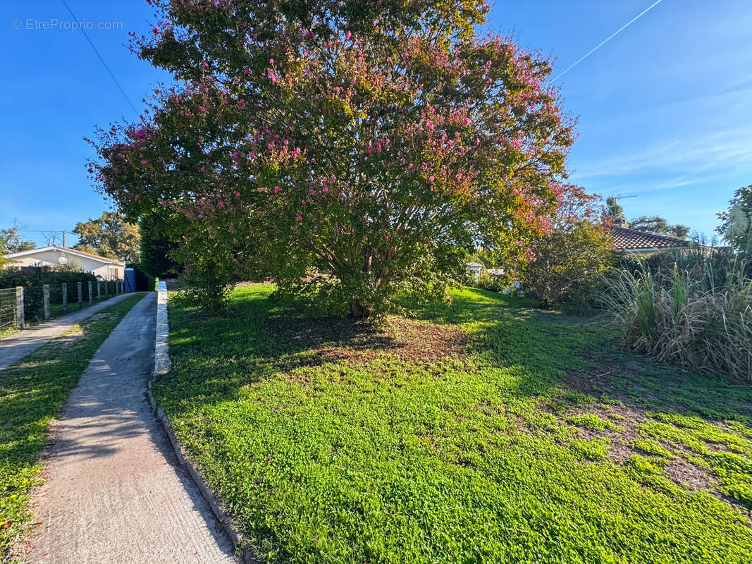 Maison à LUDON-MEDOC
