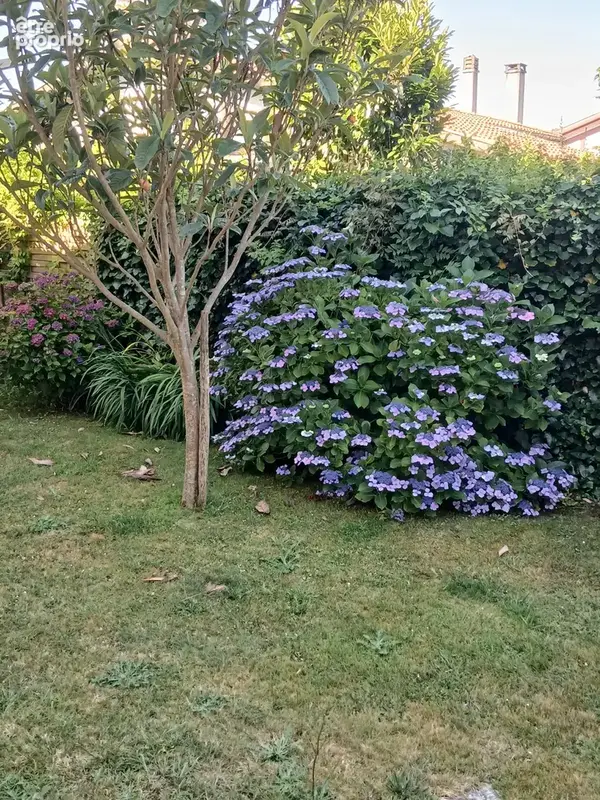 Belle Villa Landaise avec charme et caractère dans un quartier calme et proche centre ville - photo 14