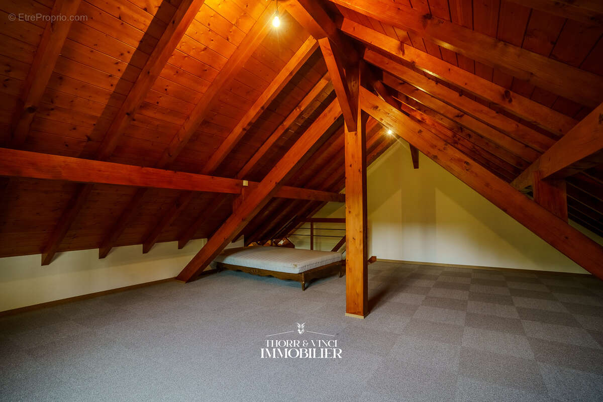 Duplex 6 pièces - 157m2 - Terrain 10 ares - Bendorf - photo 28