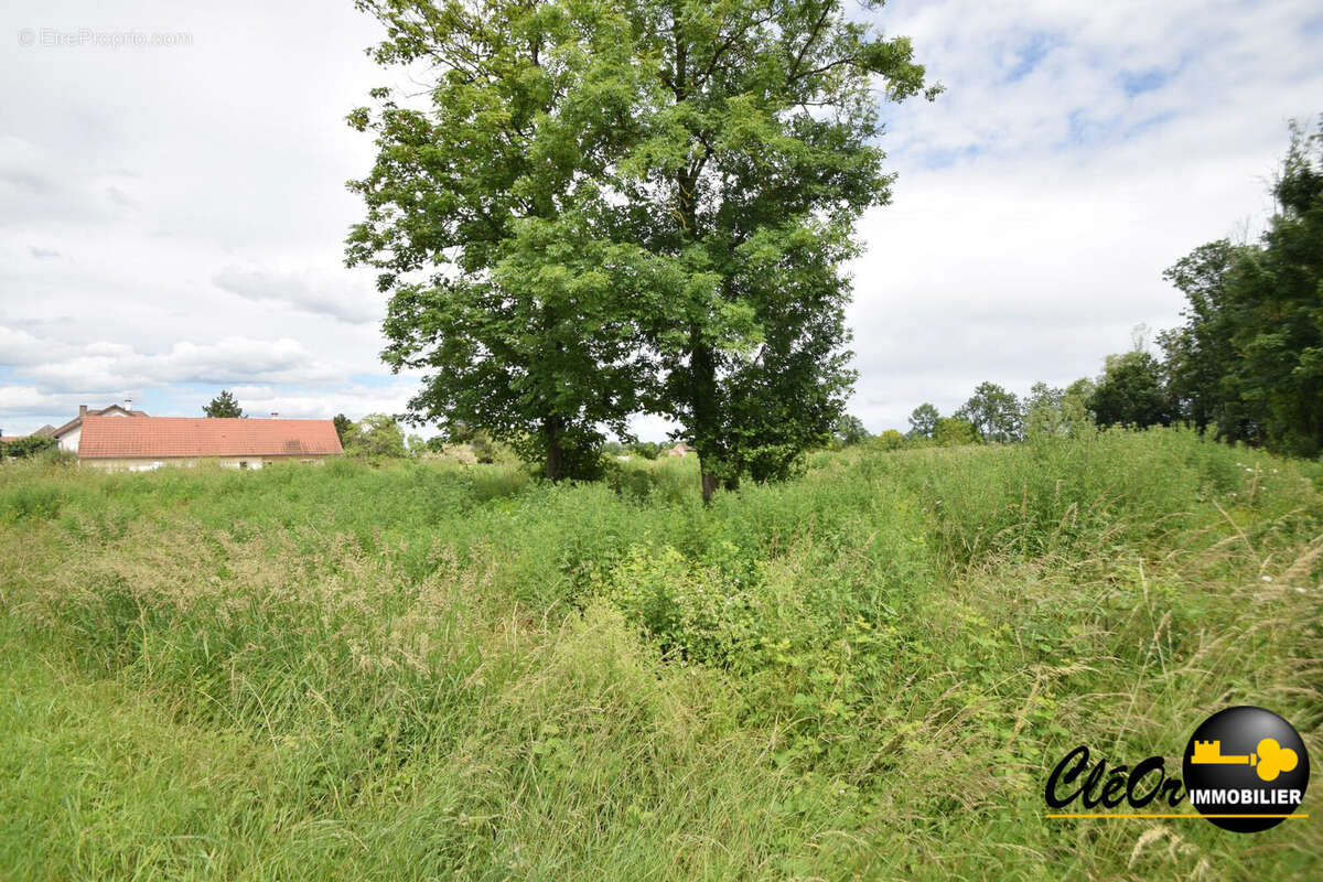 Terrain 2875 m² à Brazey-En-Plaine  - photo 2