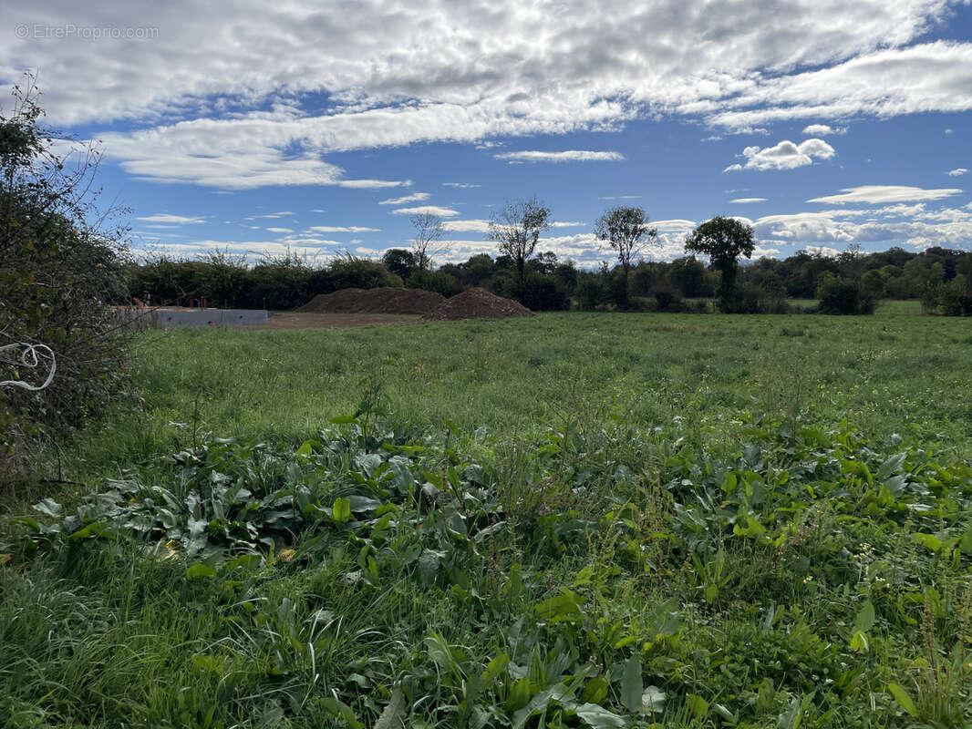 Terrain à ARTIGUELOUTAN