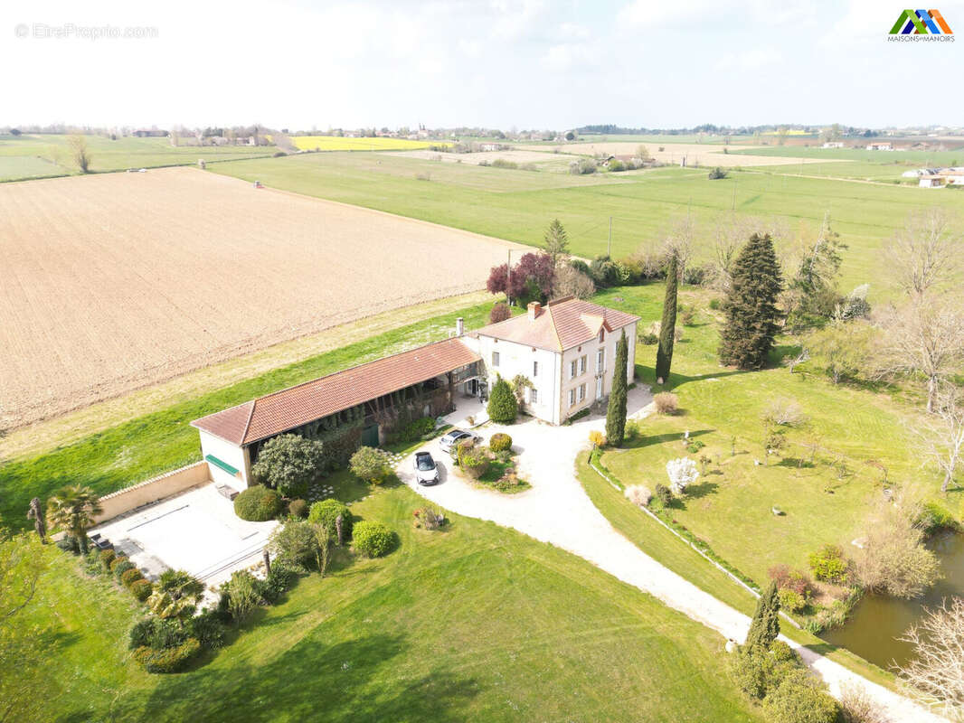 Maison 445 m² à Masseube  - photo 3
