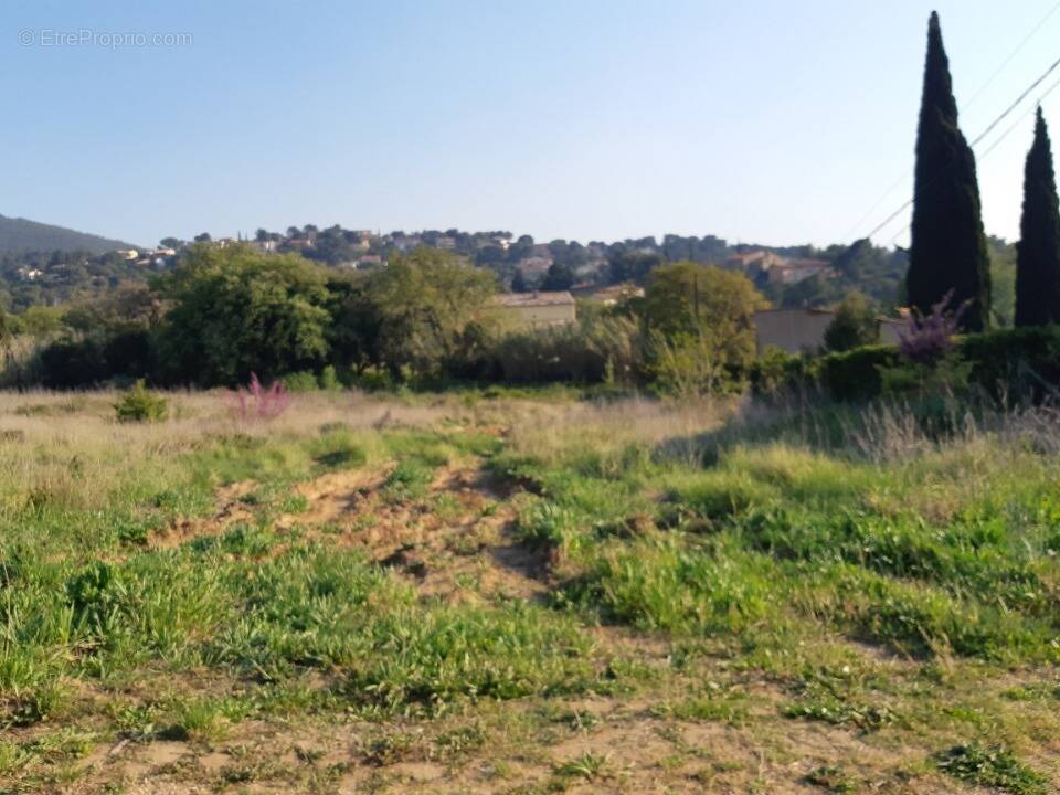 Terrain à PIERREFEU-DU-VAR