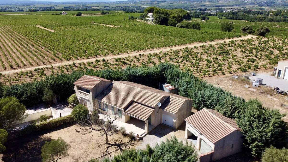 Villa avec dépendances au milieu des vignes à Gigondas - photo 18