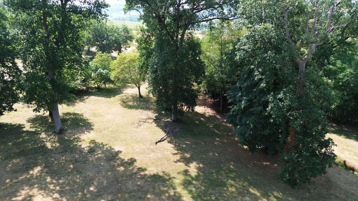 Beau Manoir avec près de 50 hectares de terrain proche de toutes les commodités - photo 17