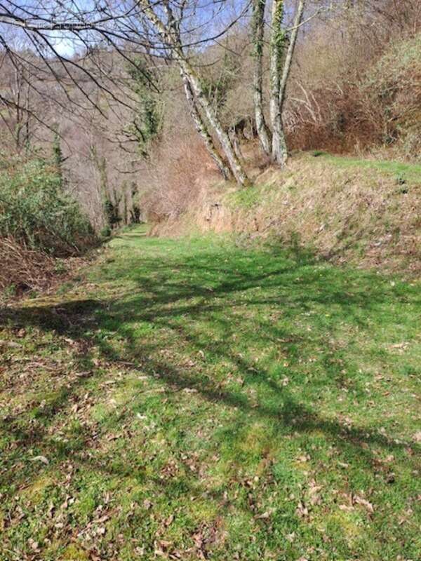 Grange a renover germs sur l'oussouet (65) - photo 5