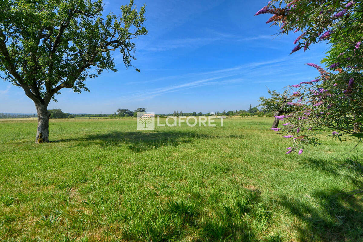 Maison à LISLE-SUR-TARN