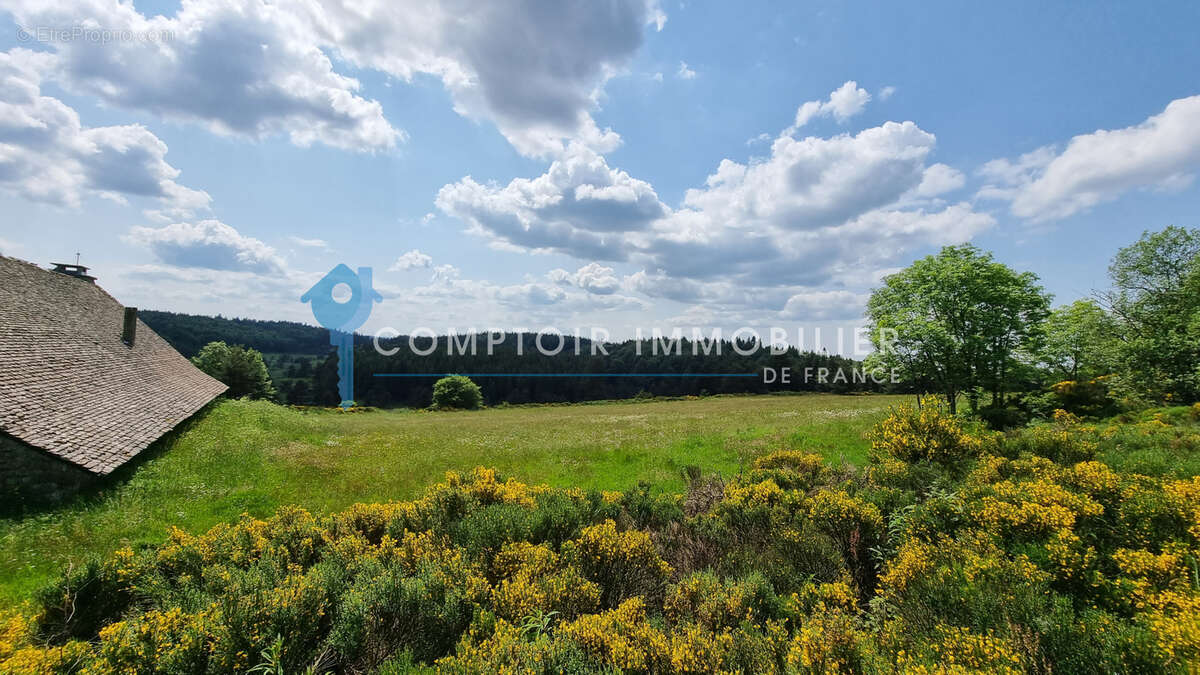 Dépt.(07) - A VENDRE Secteur Le LAC D'ISSARLES - Propriété de 56 ha avec Maison de 270 m2 et Ferme de 340 m2 - photo 22