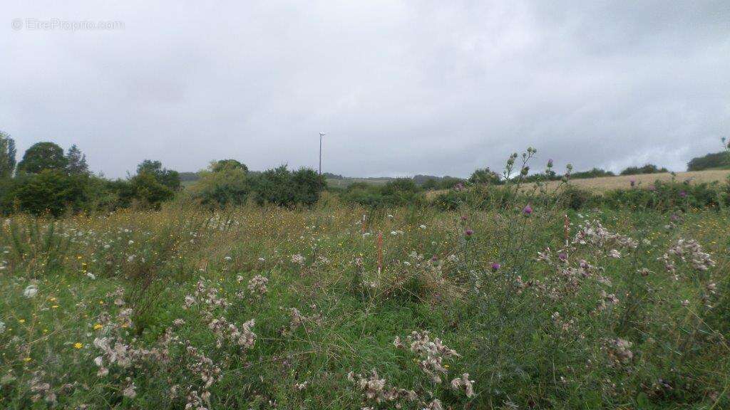 Terrain à CHAMPIGNOL-LEZ-MONDEVILLE