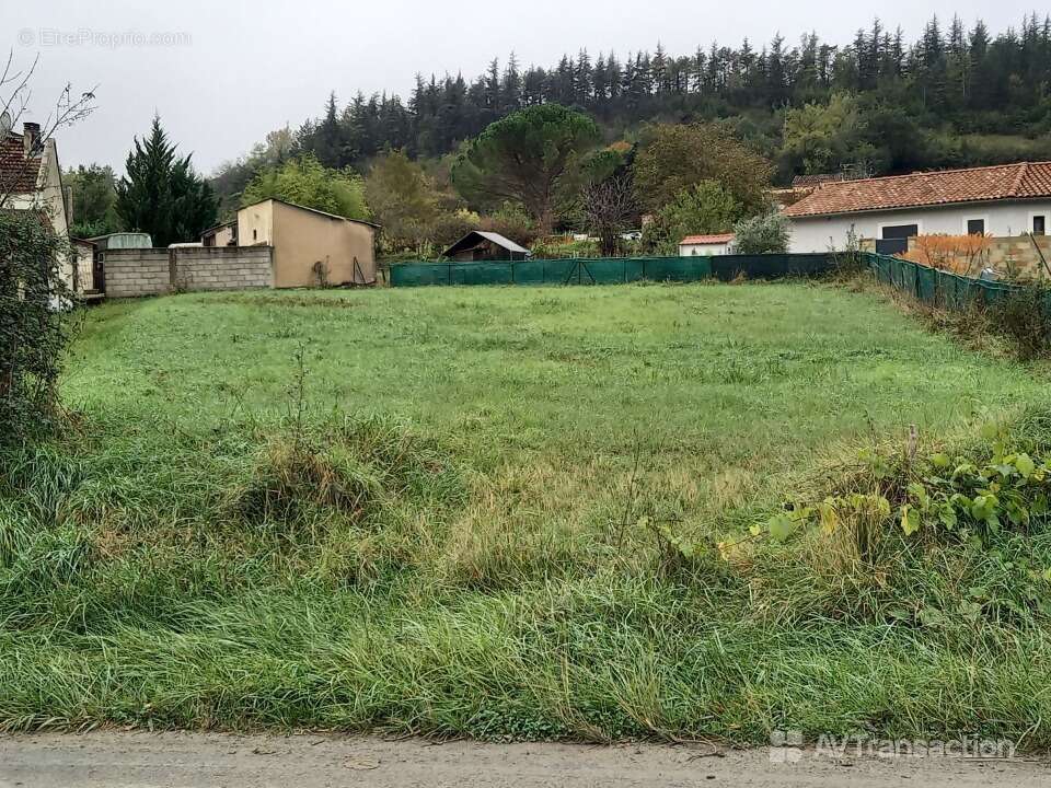 Terrain à ALBI