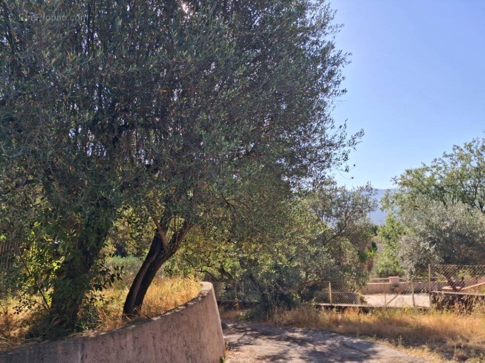 Terrain à PIGNANS