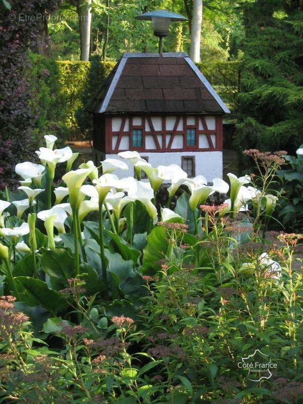 Commerce à MEZIERES-SUR-OISE