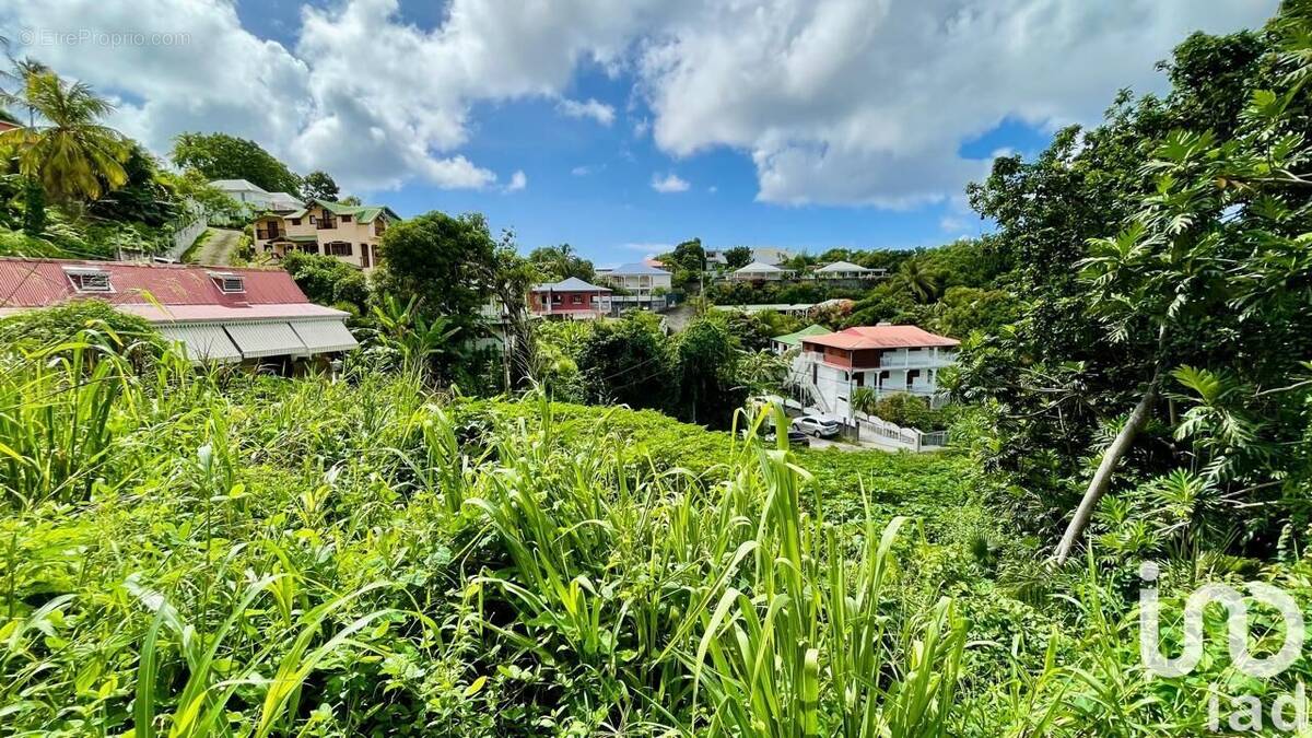 Photo 1 - Terrain à LE GOSIER