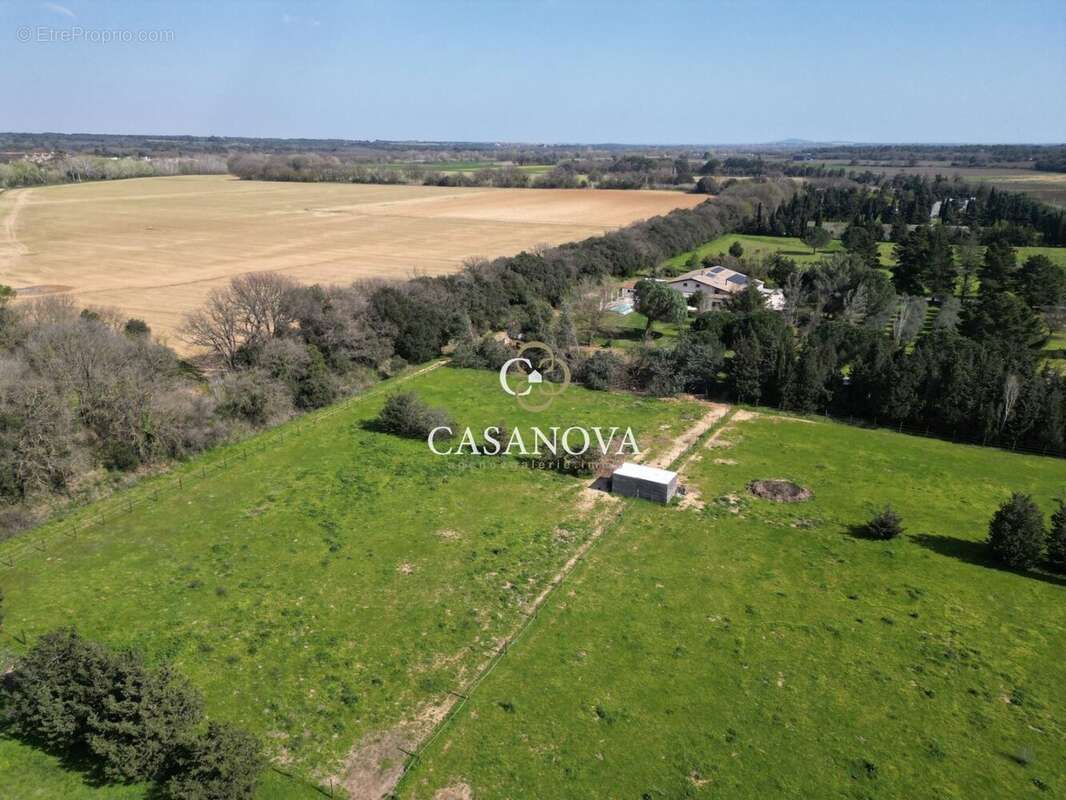 Propriété 5 hectares - Villa et dépendances :  331 m2 habitables - piscine - oliveraie - enclos chevaux - photo 5