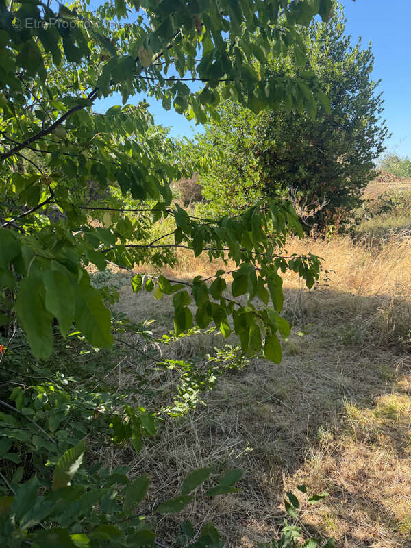 Maison de village avec beau potentiel et beau terrain - photo 19