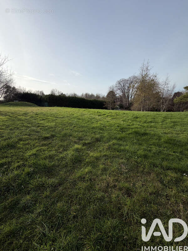 Photo 3 - Terrain à TROUVILLE-SUR-MER