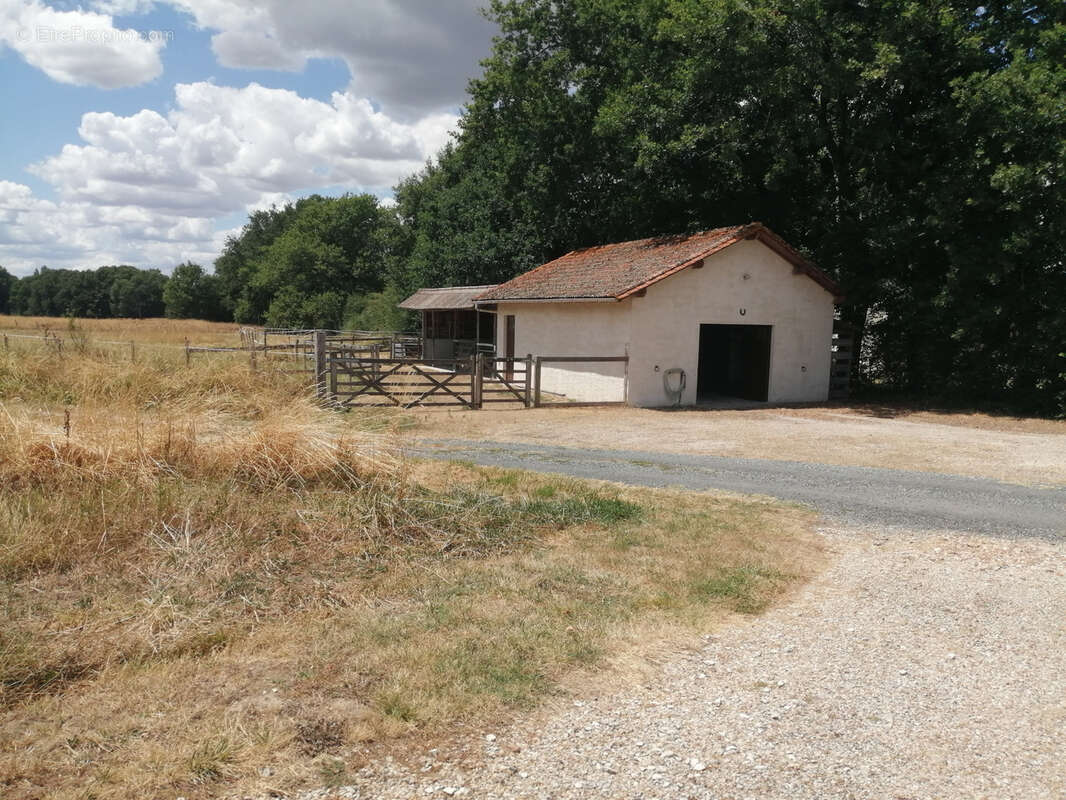Maison à la campagne, piscine, garage, box ! - photo 15