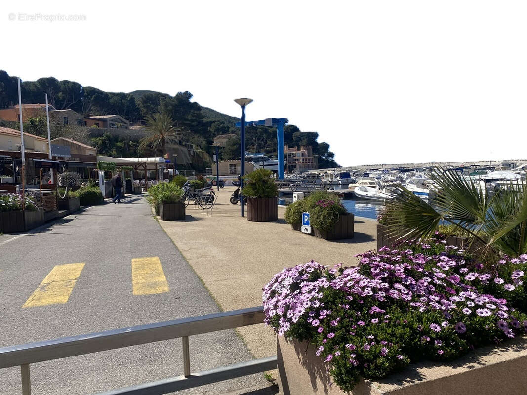 Commerce à SAINT-CYR-SUR-MER