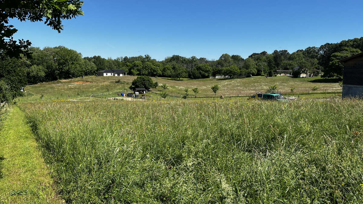 Terrain à BEAUREGARD-ET-BASSAC