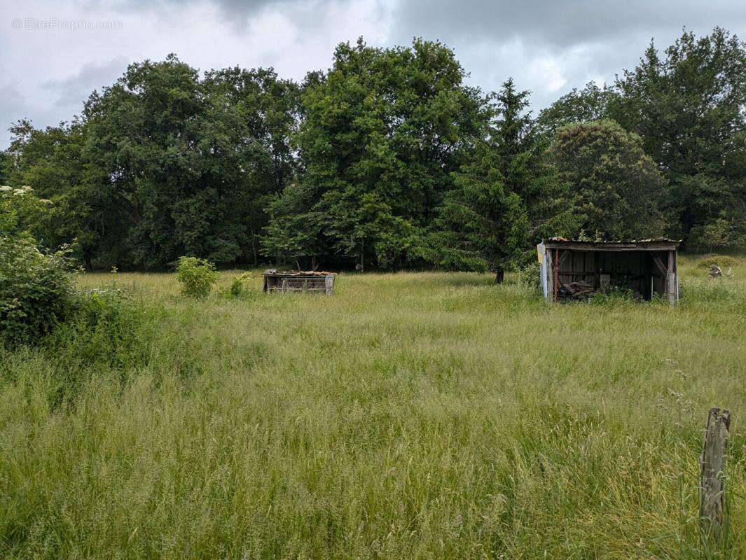 Terrain à CERCOUX