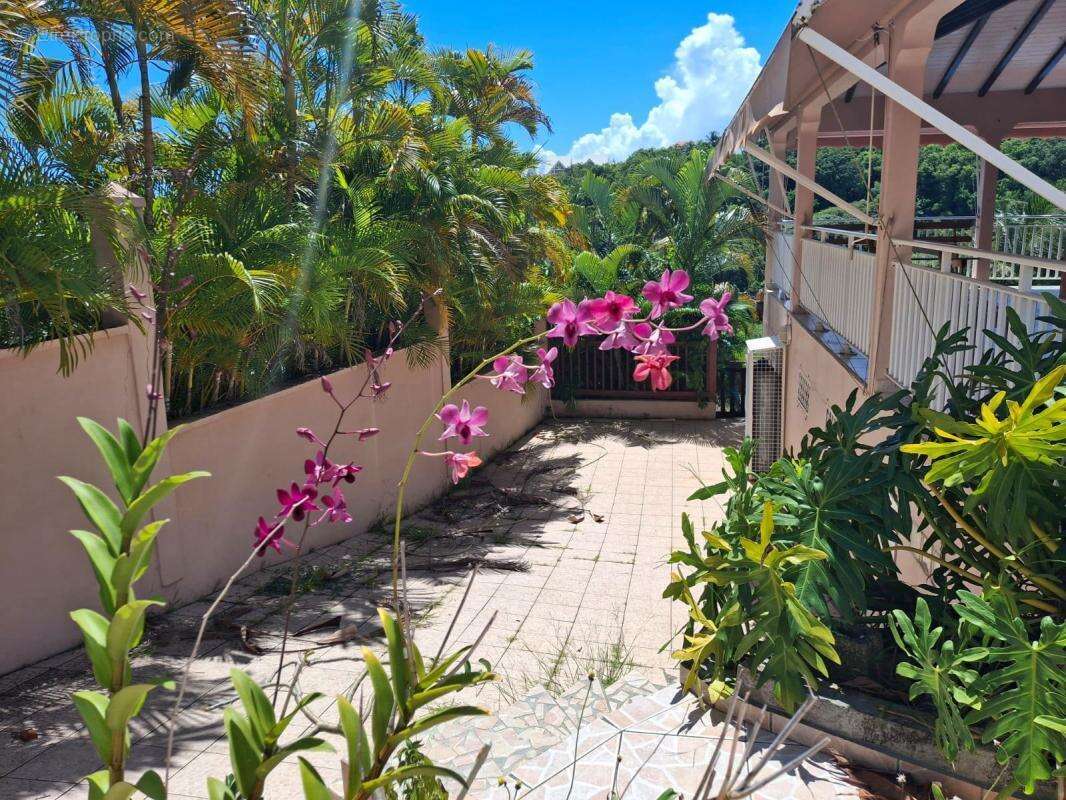 Maison à SAINTE-ANNE