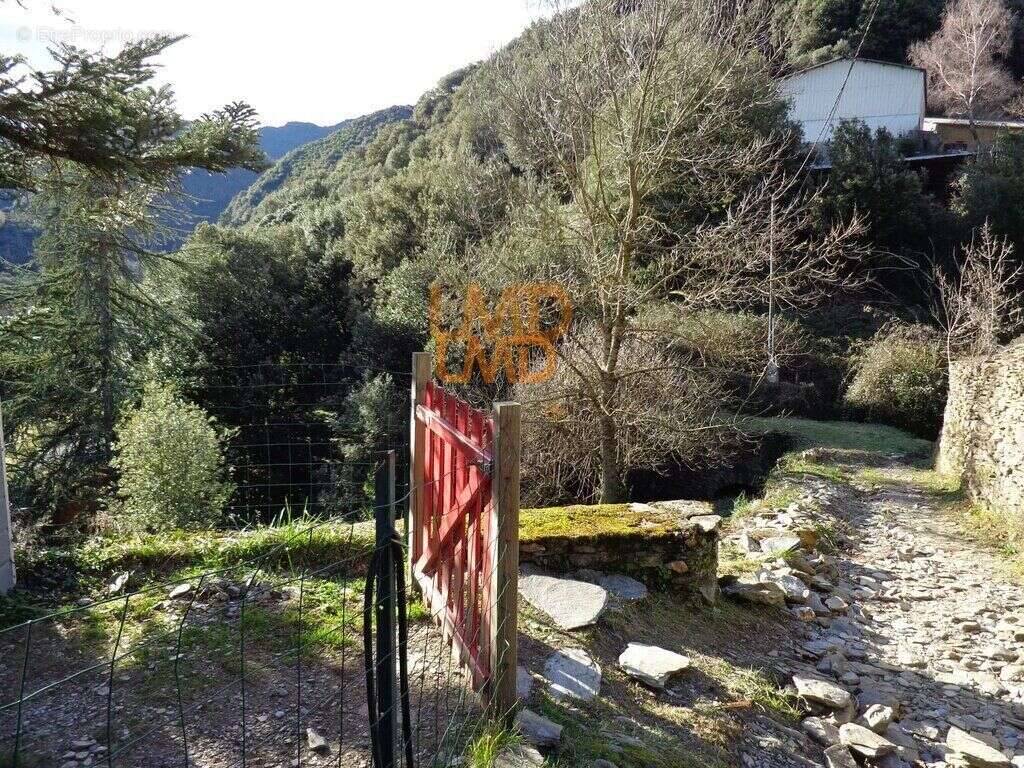 Maison à SAINT-ANDRE-DE-VALBORGNE