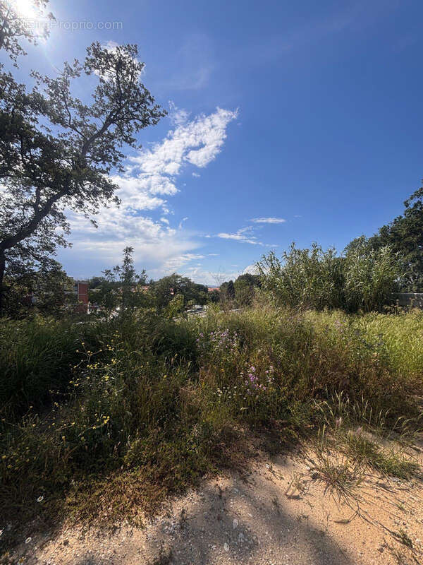 Terrain à PERPIGNAN