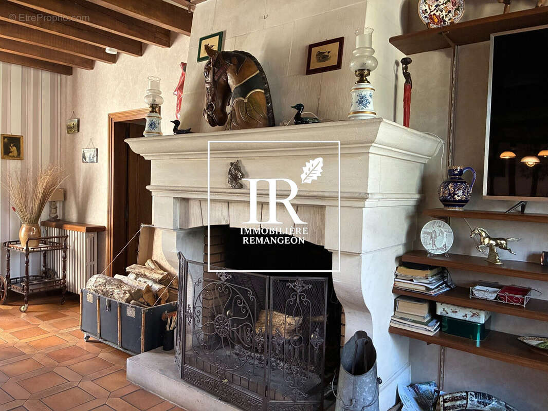 Maison 217 m² à Neuvy-Sur-Barangeon  - photo 2