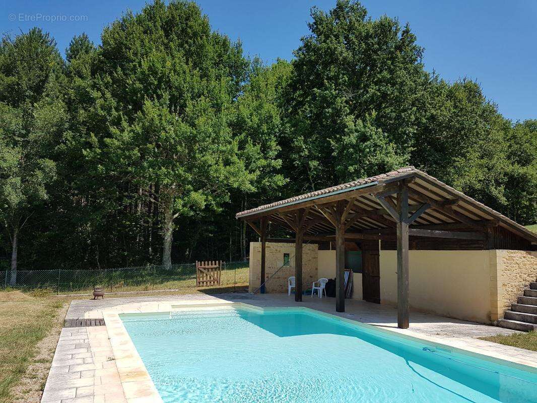 Maison à LE BUISSON-DE-CADOUIN