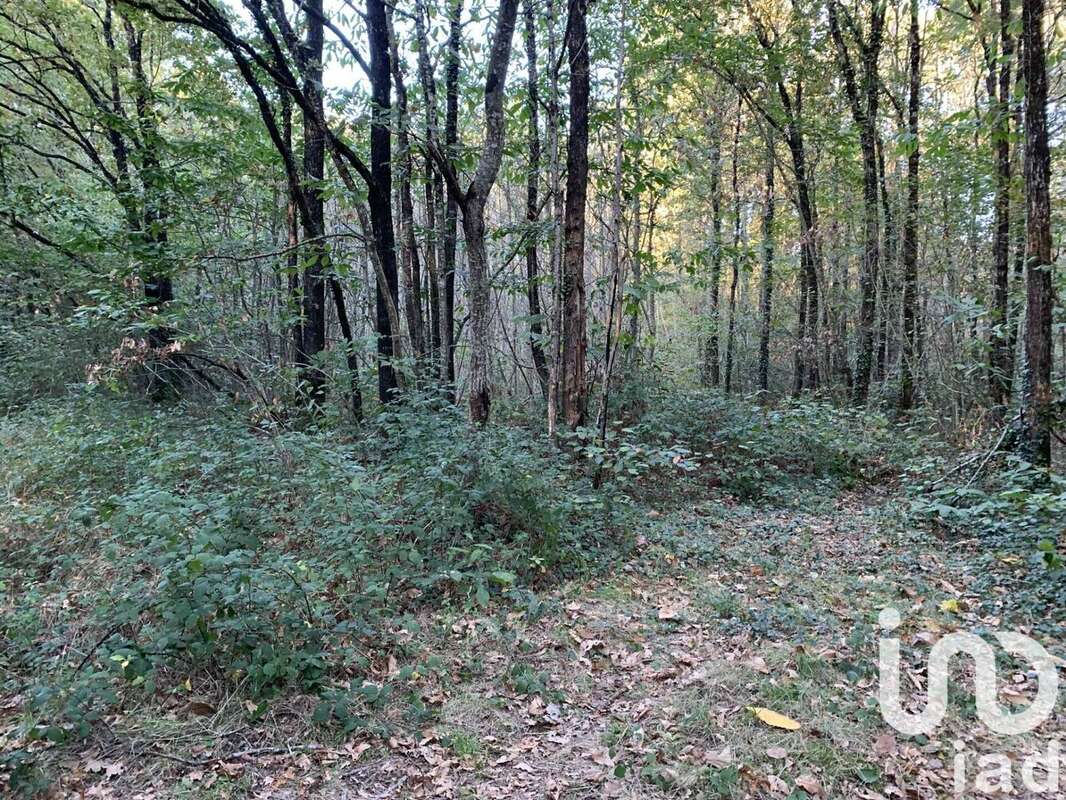 Photo 2 - Terrain à LES LUCS-SUR-BOULOGNE