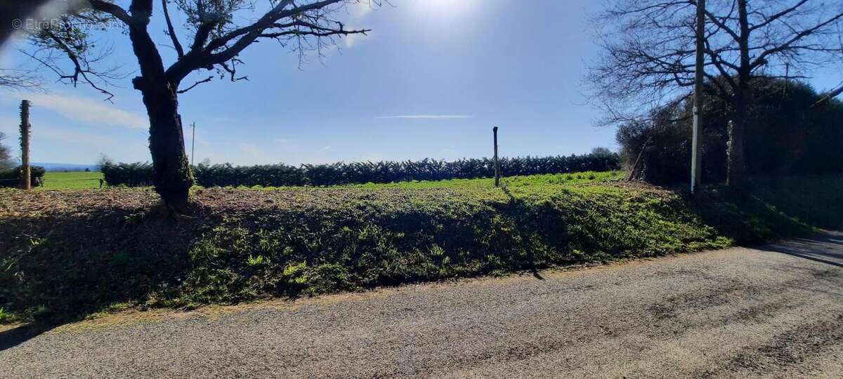 Photo 2 - Terrain à CHABRIGNAC