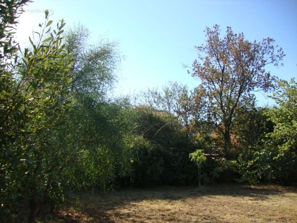 Terrain à CUERS