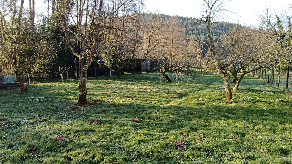 Maison à ABRESCHVILLER