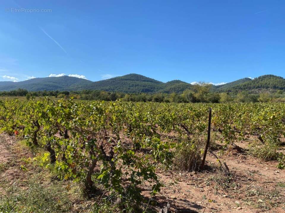 Terrain à LE CASTELLET