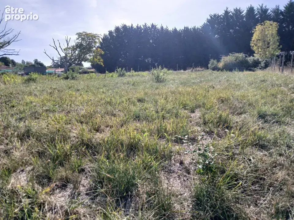Terrain 1 505 m² à vendre à Tocane-Saint-Apre (24350) - photo 2