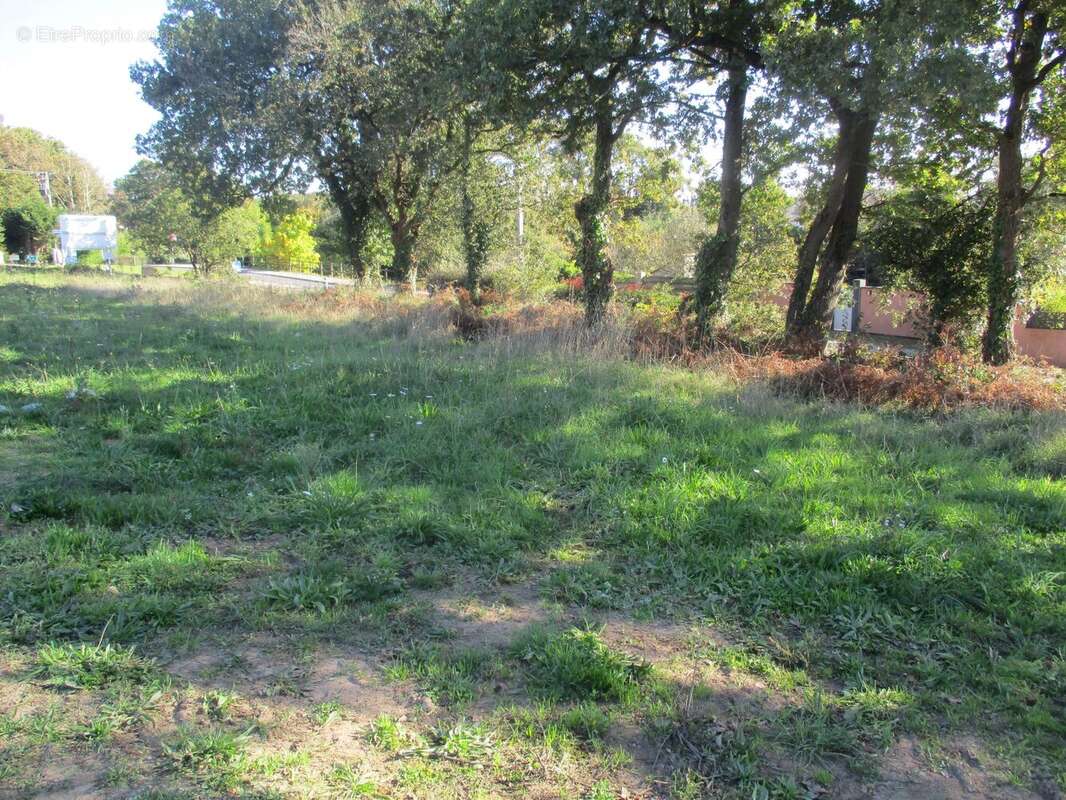 Terrain à VAIRE
