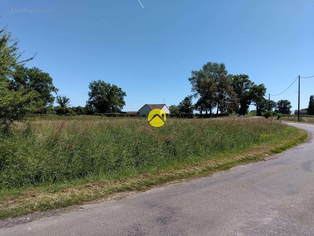 Terrain à LURCY-LEVIS