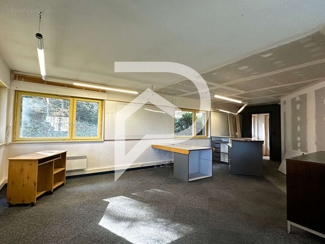 Immeuble avec bureau et grange Labaroche 13 pièce(s) 285 m2 - photo 6