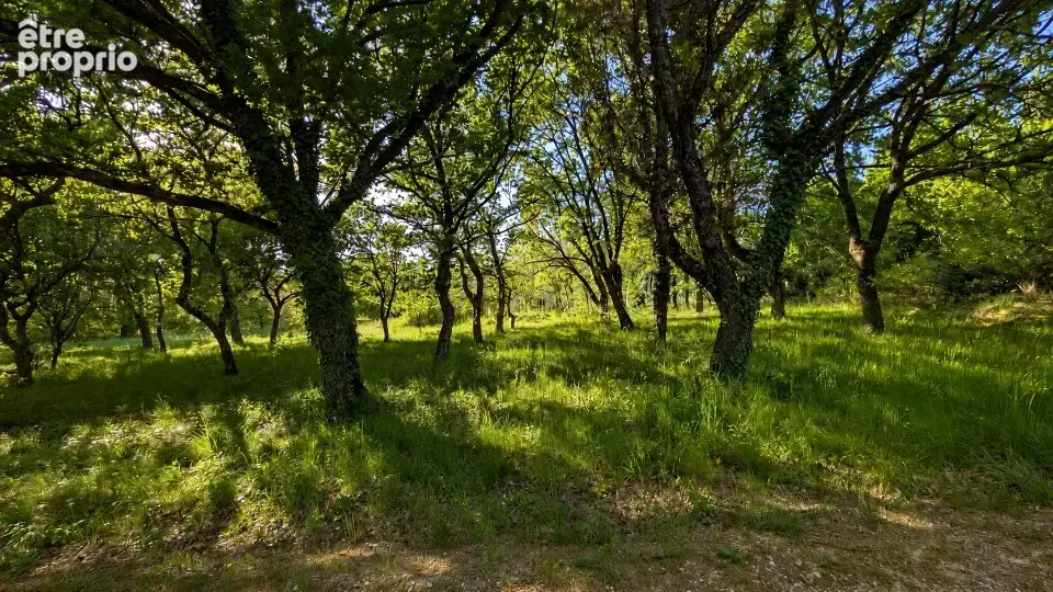 Terrain 1 200 m² à vendre à Le Poet-Laval (26160) - photo 3