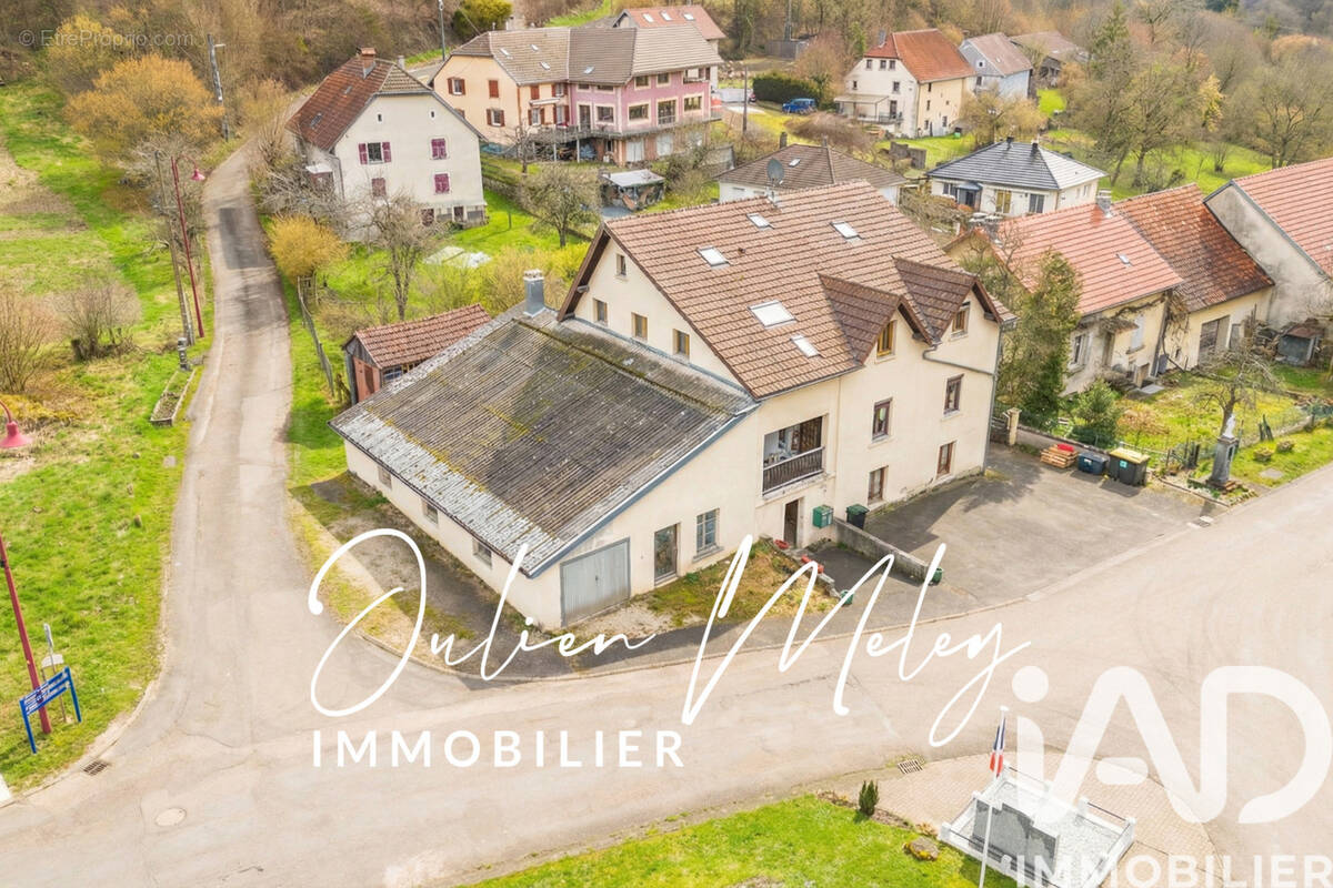 Photo 1 - Appartement à DANNEMARIE