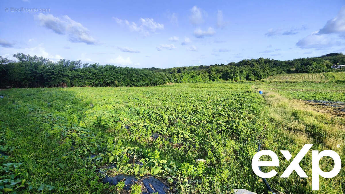 Terrain à LE VAUCLIN