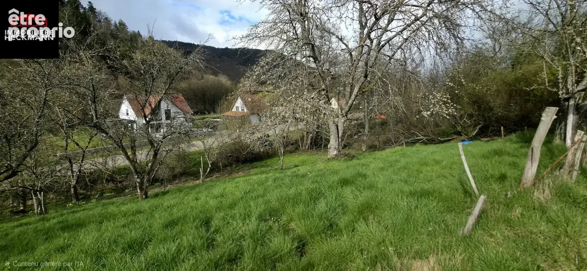 Terrain à FOUCHY