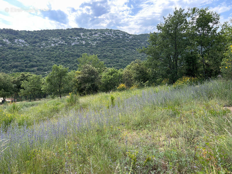 Terrain à SAINT-MARTIN-D&#039;ARDECHE