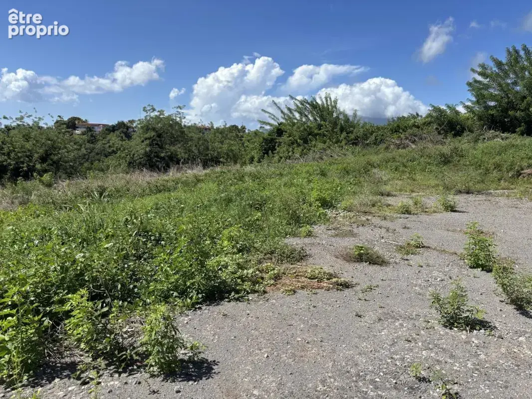 A vendre : terrain 750m² au carbet (97221) - photo 7