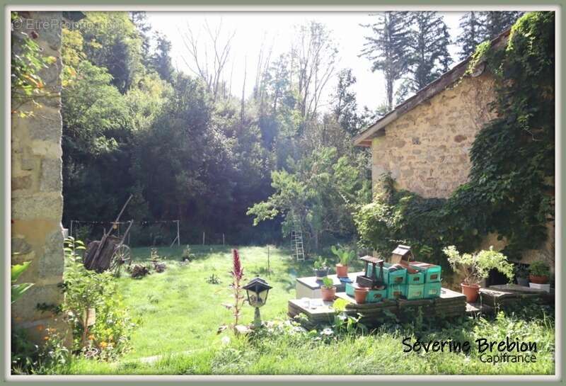  Maison rénovée en pierre de 166 m², 4 chambres, vaste séjour, dépendance, assainissement OK, avec ancien moulin et terrain de 1 - photo 28